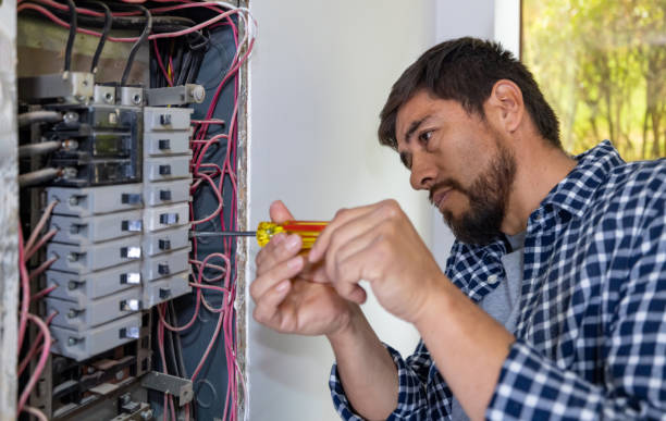 Best Electric Panel Repair  in Liberty, TX